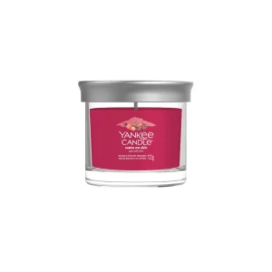 Vela Tumbler Santa on Skis Yankee Candle